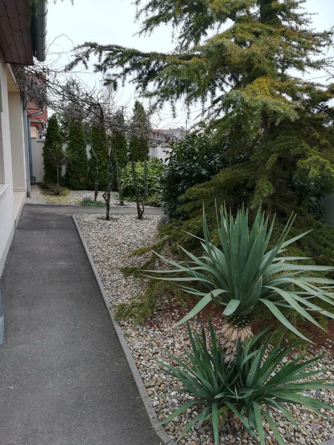 Luxury Apartman Apartment Baja Bagian luar foto